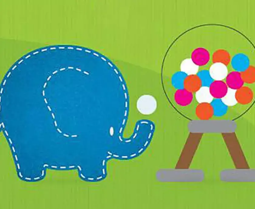 AlderHey elephant lottery